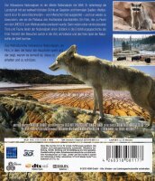 Weltnaturerbe USA - Yellowstone Nationalpark [Blu-ray]